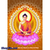 Bổn Sư Thích Ca Mâu Ni Phật